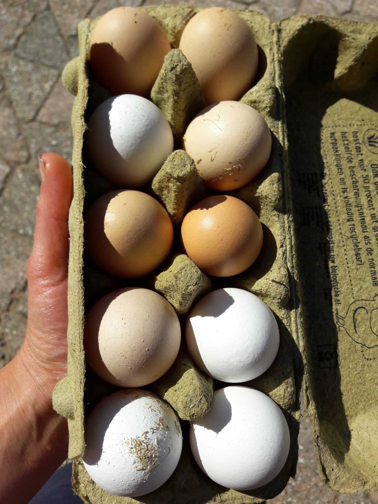 1 eieren 10 | Kloosterboerderij van